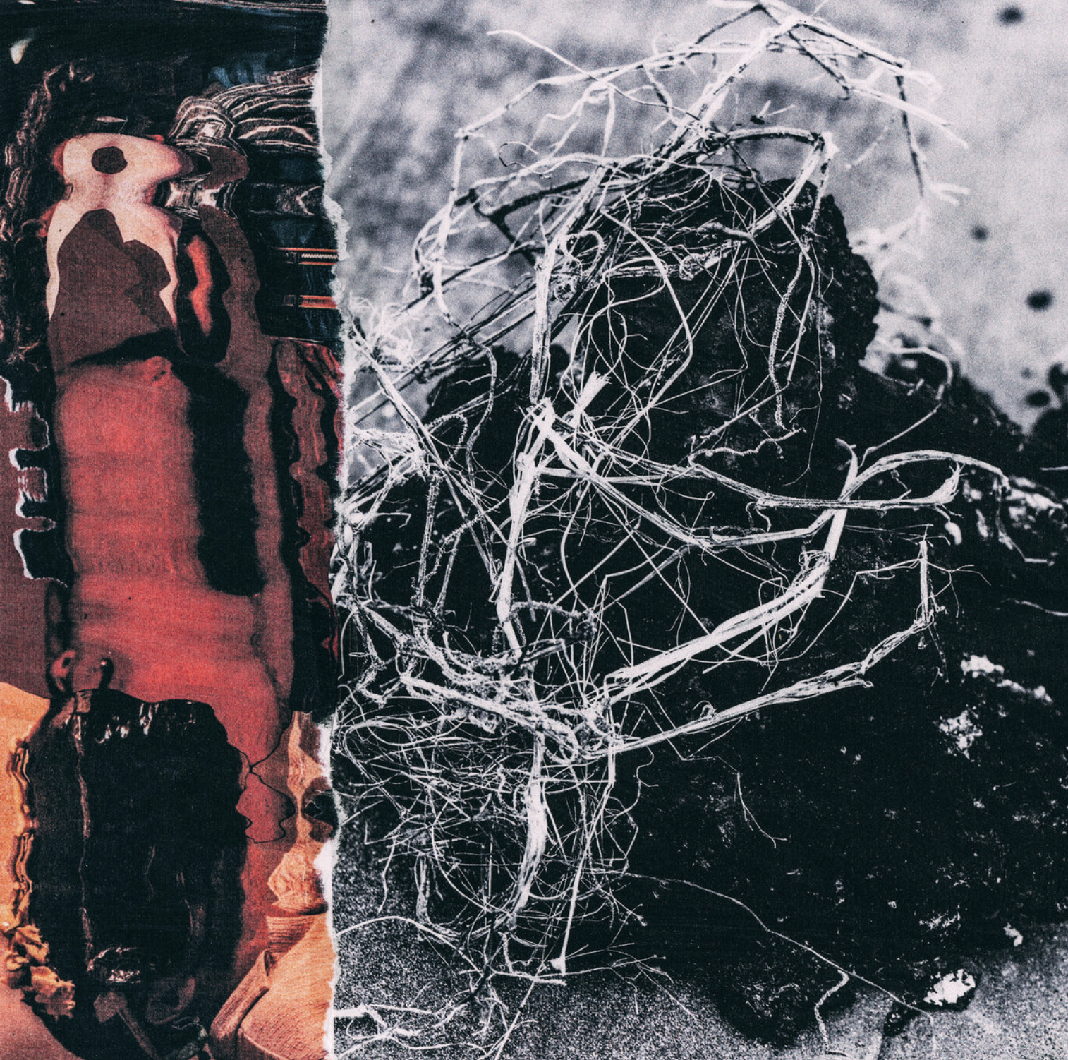 Screenshot 2026-01-05 at 19.23.45